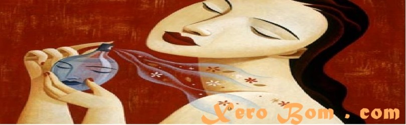 xerobompontocom